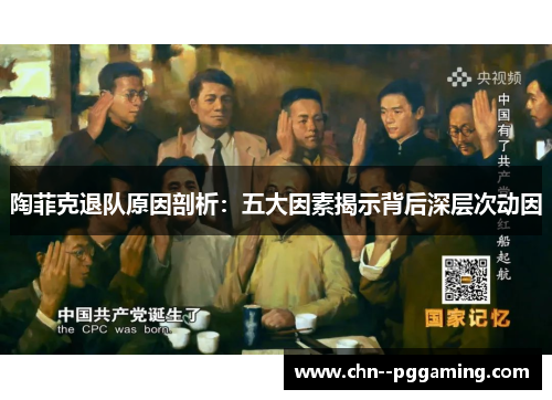 陶菲克退队原因剖析：五大因素揭示背后深层次动因