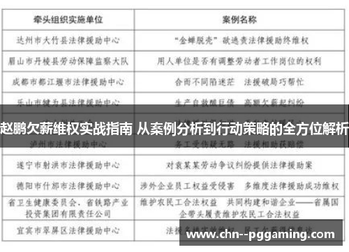 赵鹏欠薪维权实战指南 从案例分析到行动策略的全方位解析 赵鹏欠薪维权实战指南 从案例分析到行动策略的全方位解析