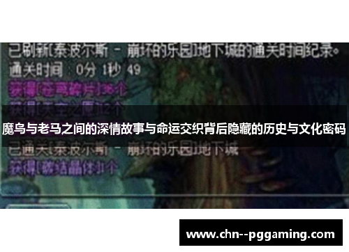 魔鸟与老马之间的深情故事与命运交织背后隐藏的历史与文化密码