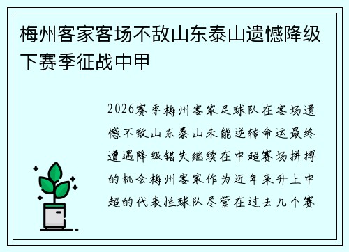 梅州客家客场不敌山东泰山遗憾降级下赛季征战中甲