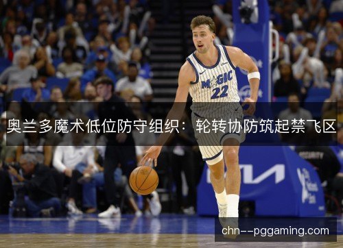 奥兰多魔术低位防守组织：轮转协防筑起禁飞区